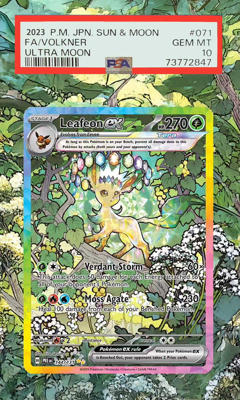 Pokemon Cards Display PTCG Lea - Display Case Acrylic 评论和价格