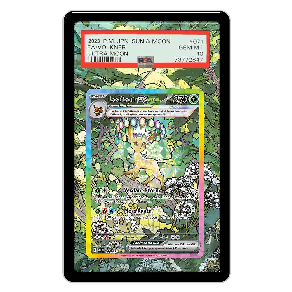 Pokemon Cards Display PTCG Lea - Display Case Acrylic 评论和价格