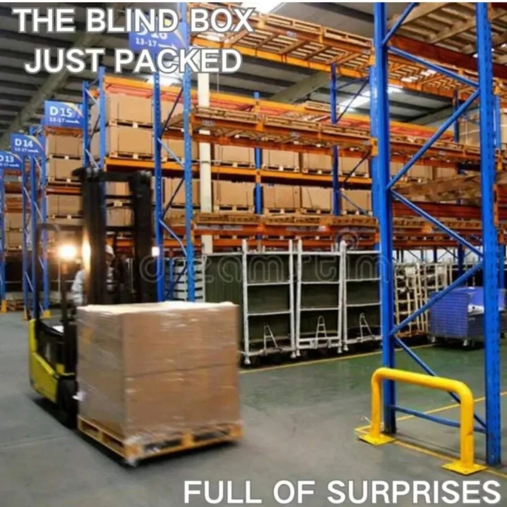 Super Surprise Mystery Box Ran - Mystery Box Blind Bag 评论和价格