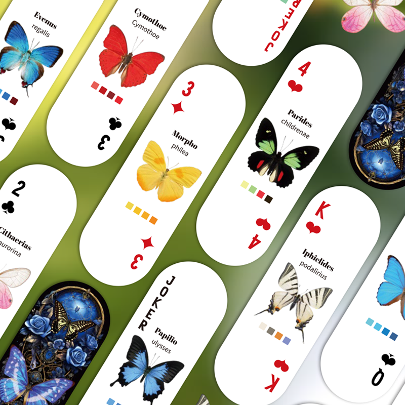 Mr.Paper Table Card Game 54/Bo - Graded Card Display 评论和价格