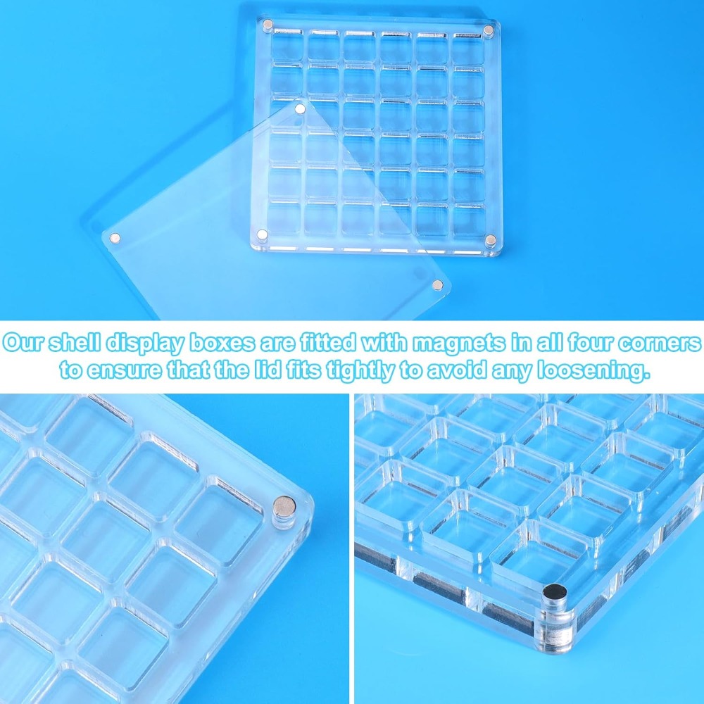 Clear Acrylic Magnetic Seashel - Display Case Acrylic 评论和价格